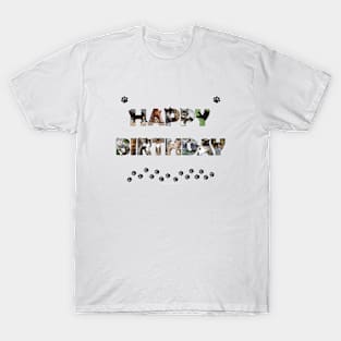 Happy Birthday - mixed cats oil painting word art T-Shirt